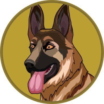 icon of Berger Doge Coin (BergerDoge)
